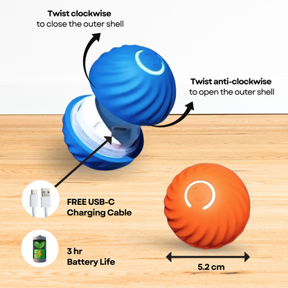 Mr Chaseroo's Interactive Smart Ball